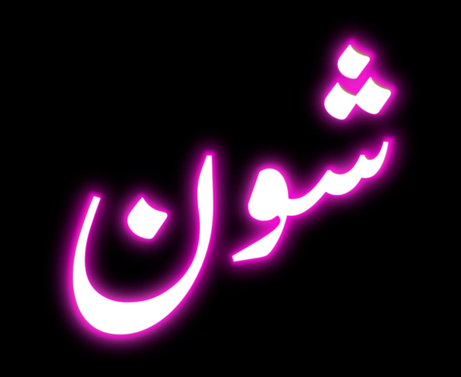 Seans Logo